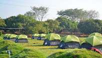 Near Bannerghatta National Park